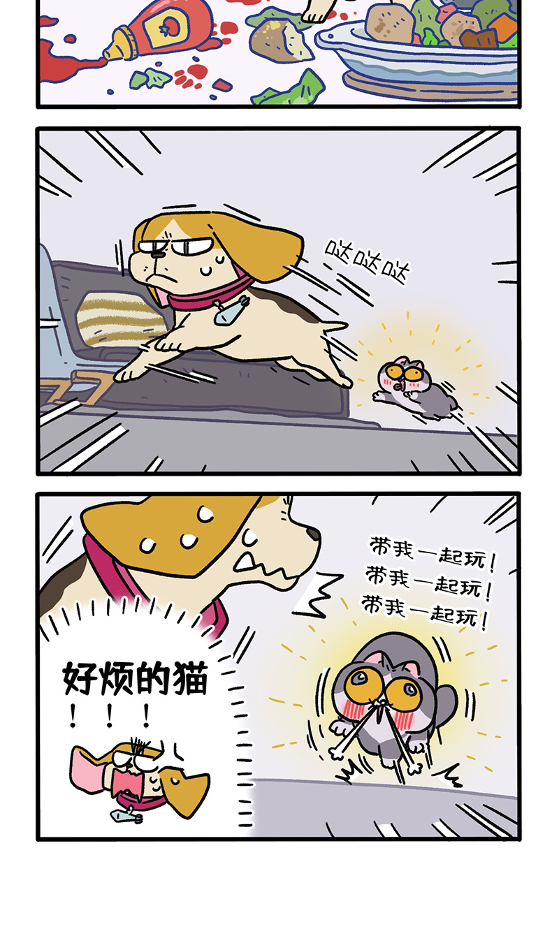 第128话1 关于猫狗是怎么相识的-第248话