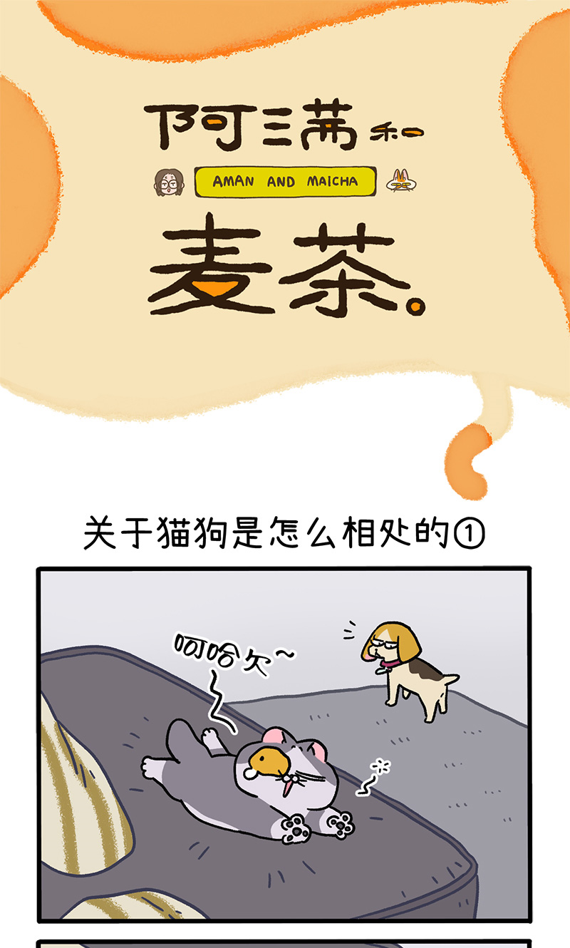 第129话1 关于猫狗是怎么相处的-第250话