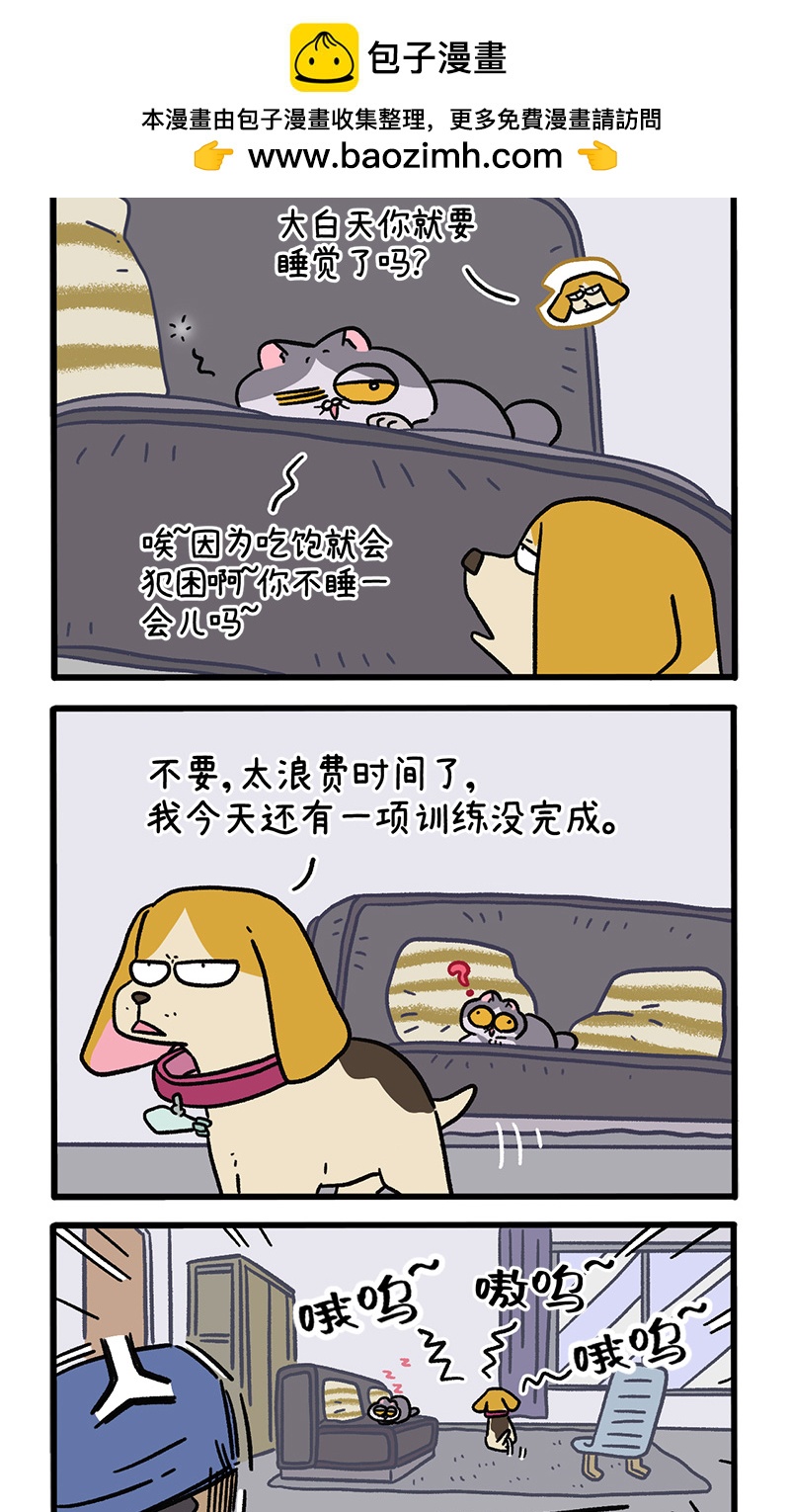 第129话1 关于猫狗是怎么相处的-第250话
