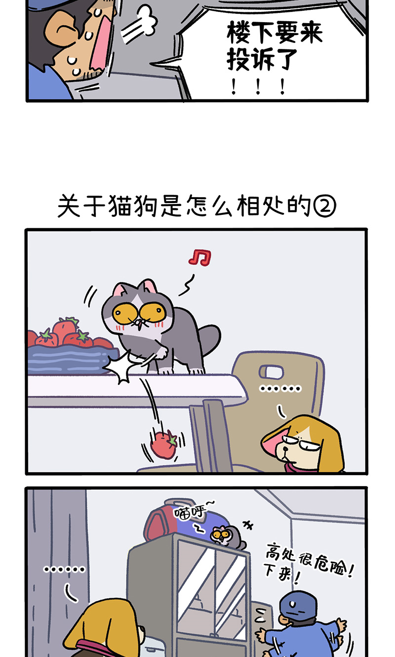 第129话1 关于猫狗是怎么相处的-第250话