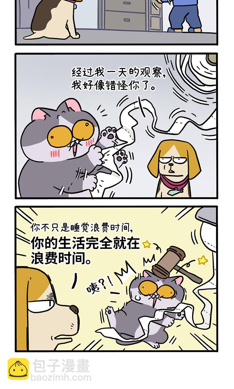 第129话1 关于猫狗是怎么相处的-第250话
