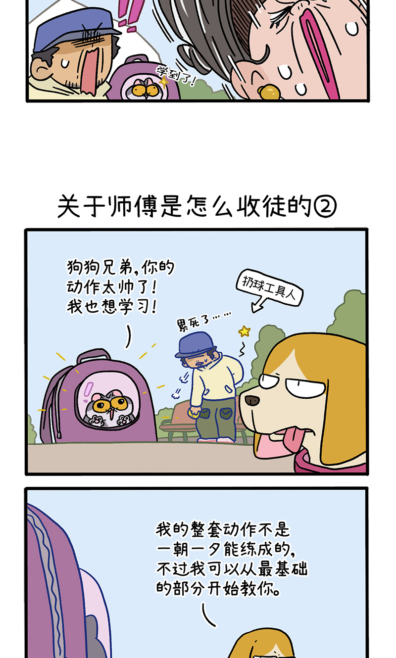 第130话1 关于师傅是怎么收徒的-第252话