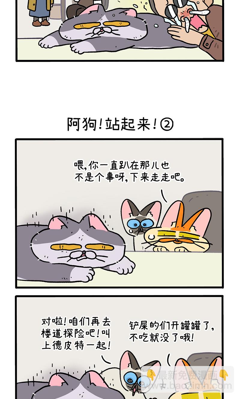 第131话1 阿狗！站起来！-第254话