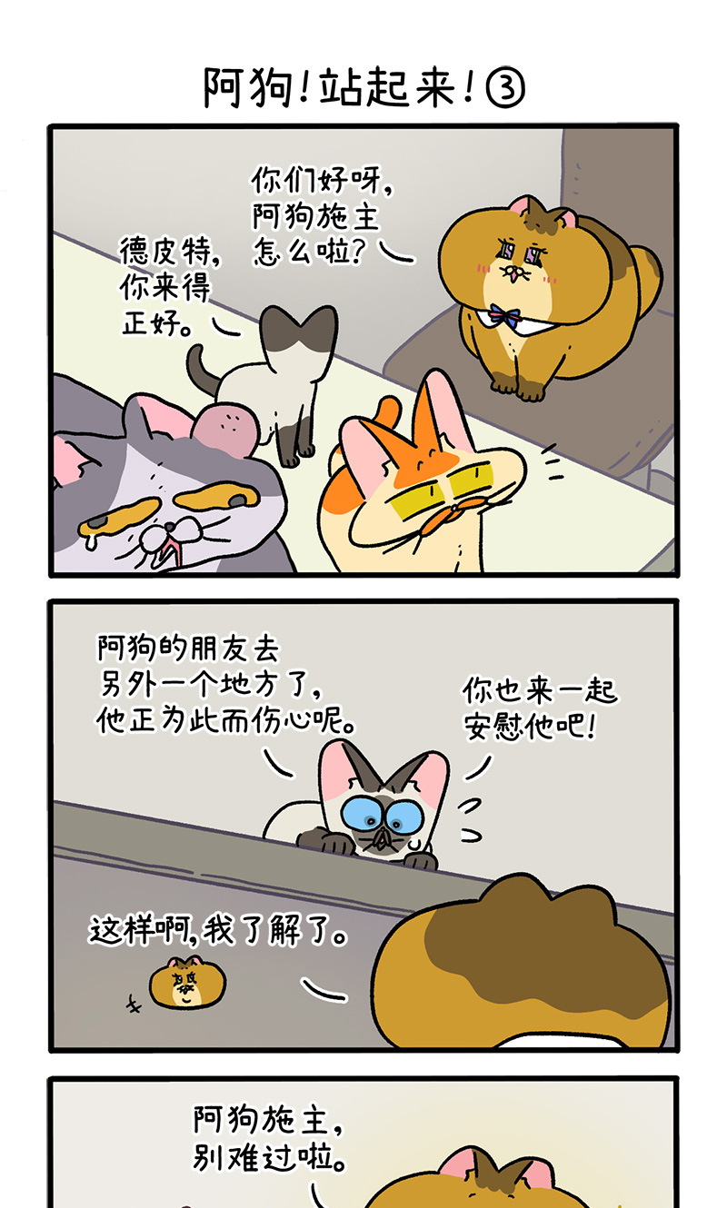 第131话1 阿狗！站起来！-第254话
