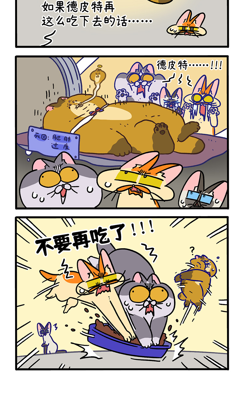 第134话1 德皮特减肥记3-第260话