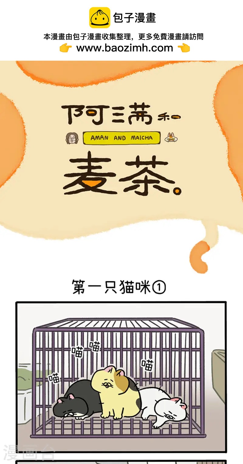 第139话1 第一只猫咪-第274话