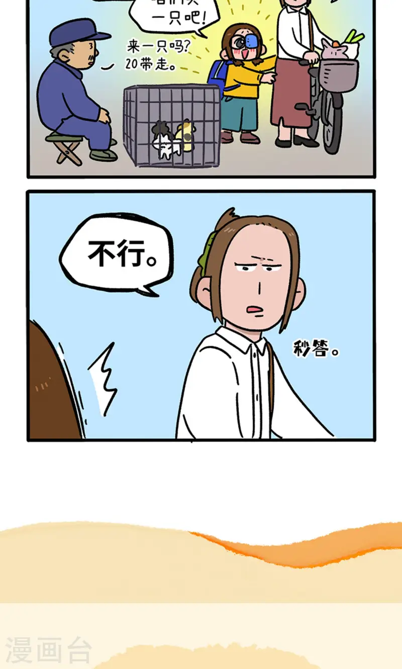 第139话1 第一只猫咪-第274话