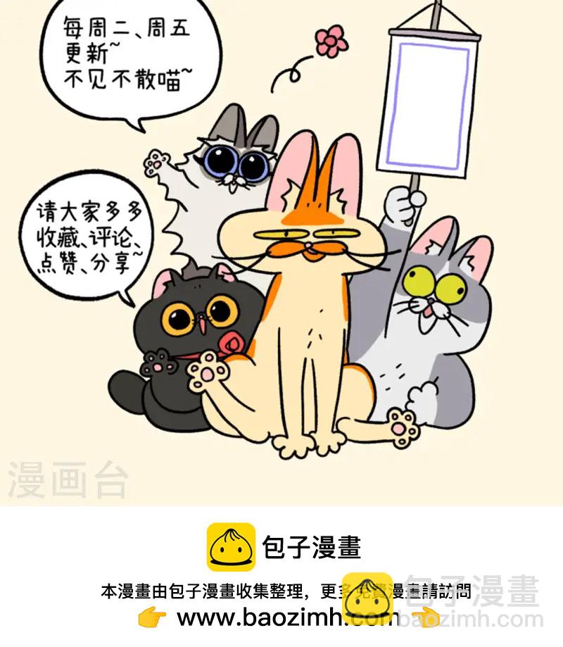 第139话1 第一只猫咪-第274话