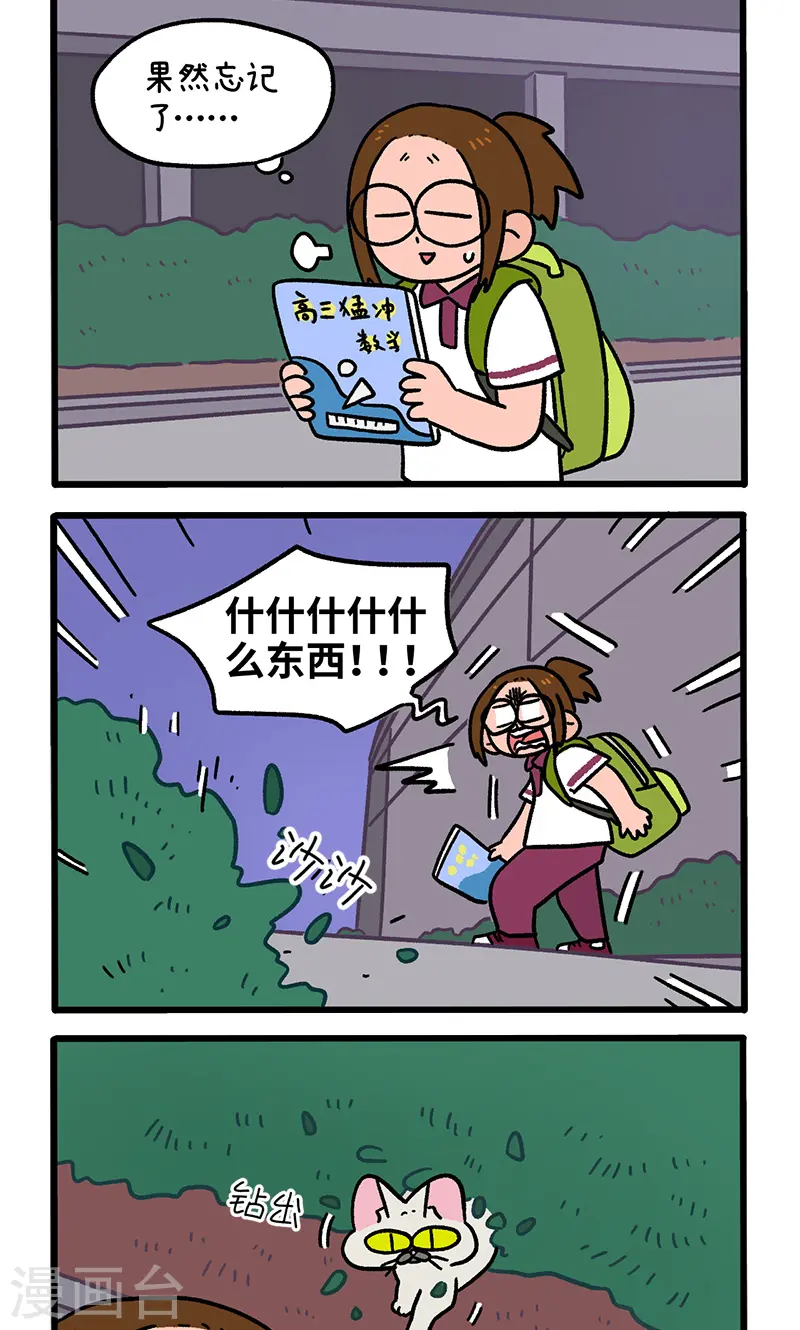第140话1 第二只猫咪-第278话