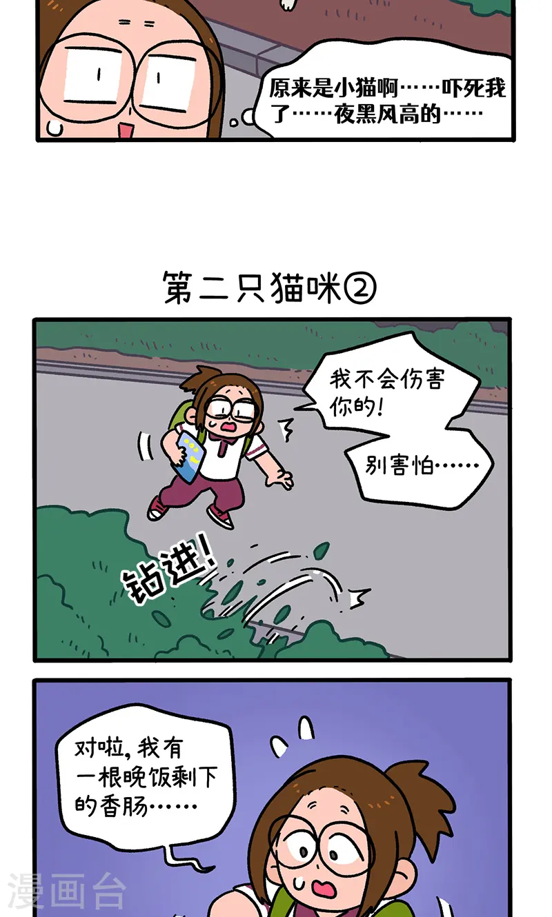 第140话1 第二只猫咪-第278话