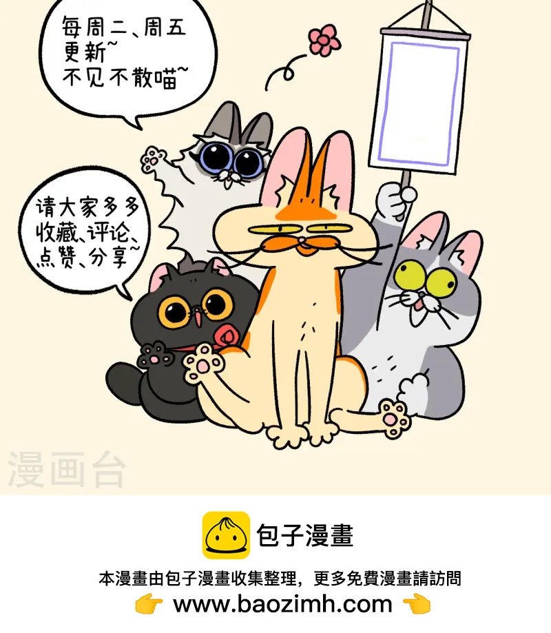 第140话1 第二只猫咪-第278话