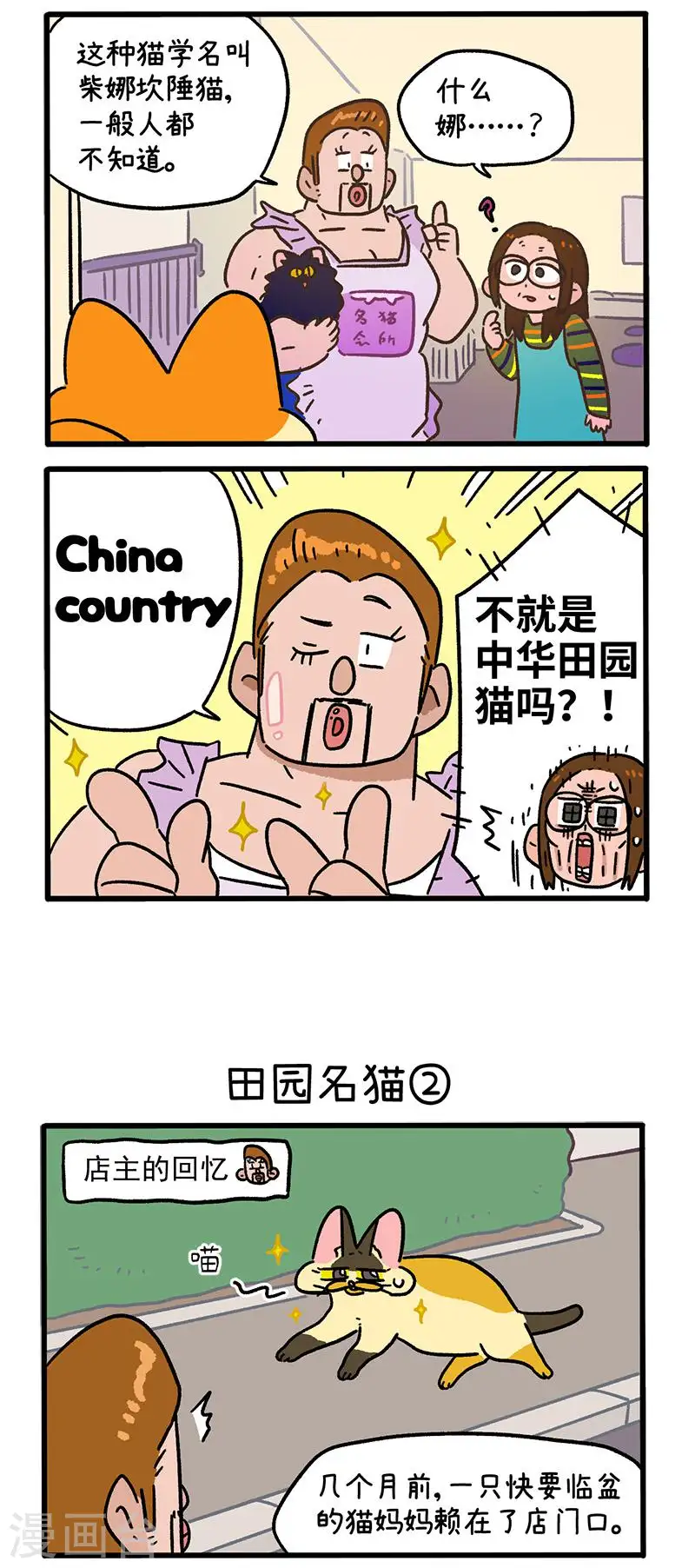 第142话1 田园名猫-第282话