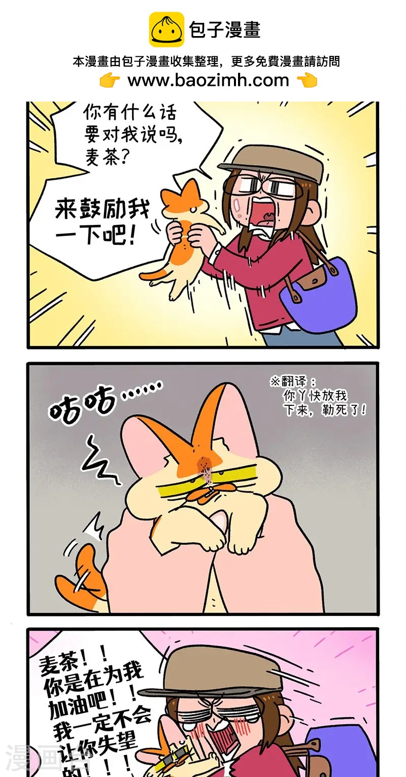 第146话1 面试-第290话