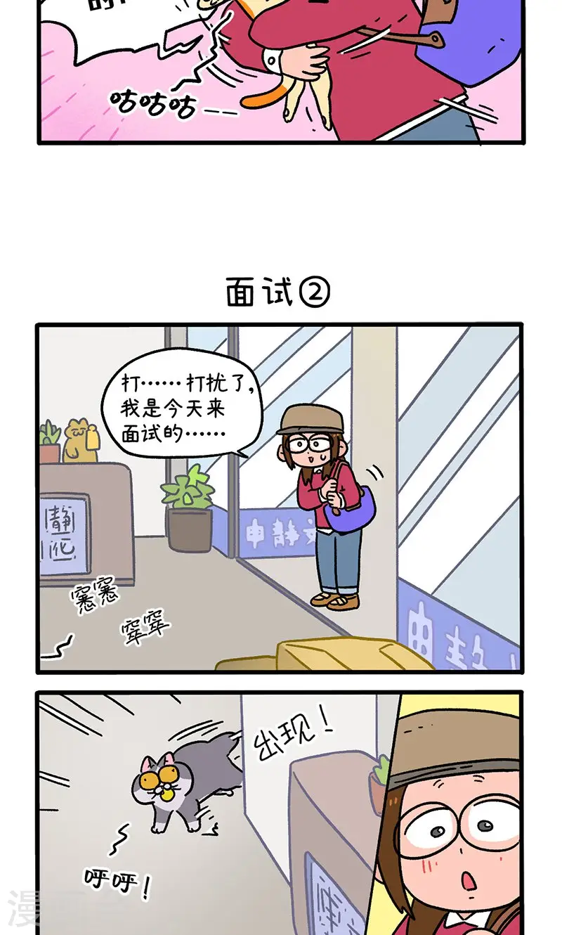 第146话1 面试-第290话
