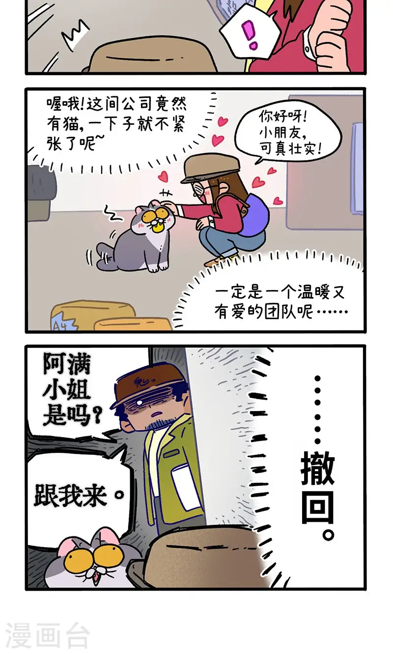 第146话1 面试-第290话