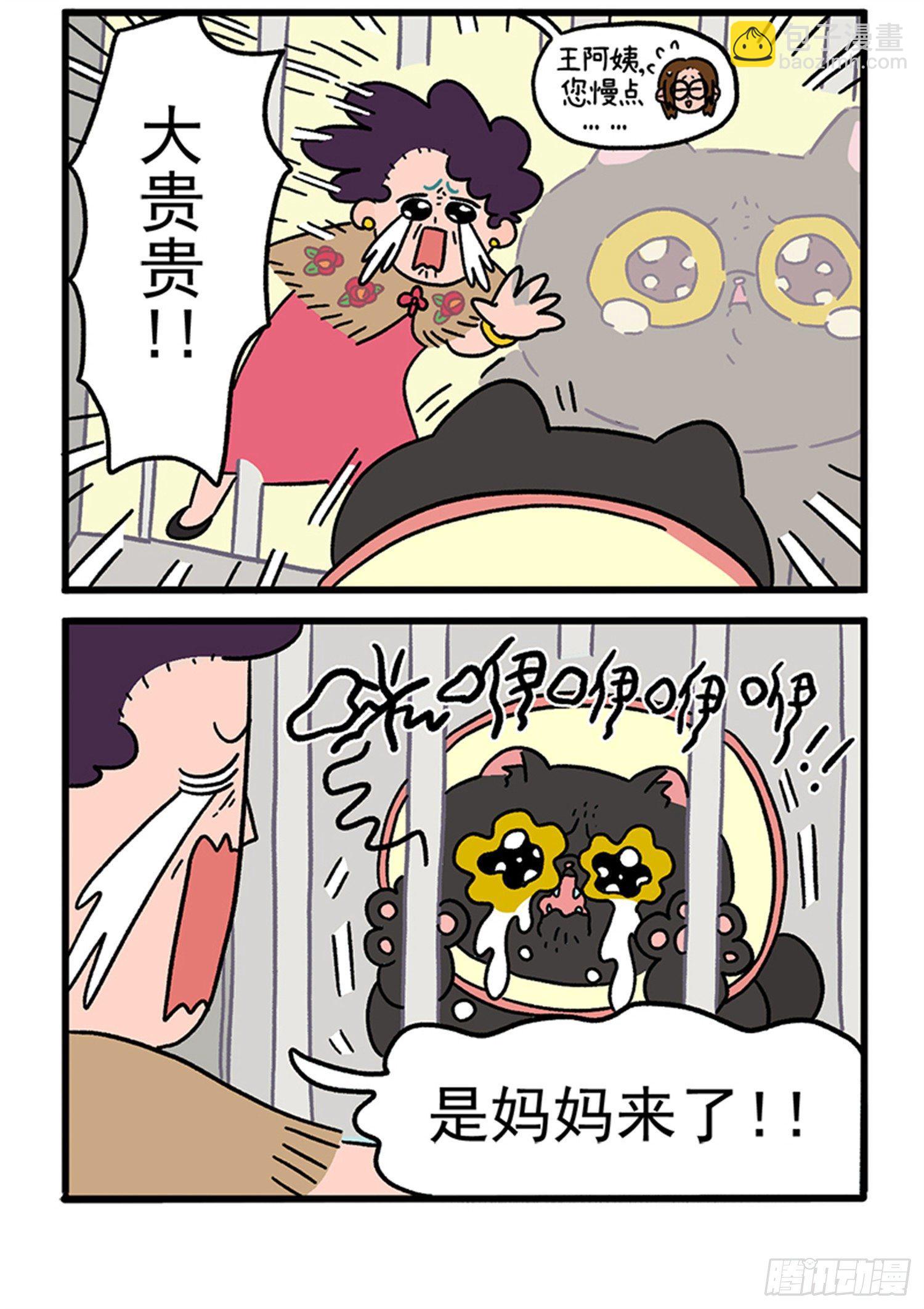 第21话 出院了-第30话