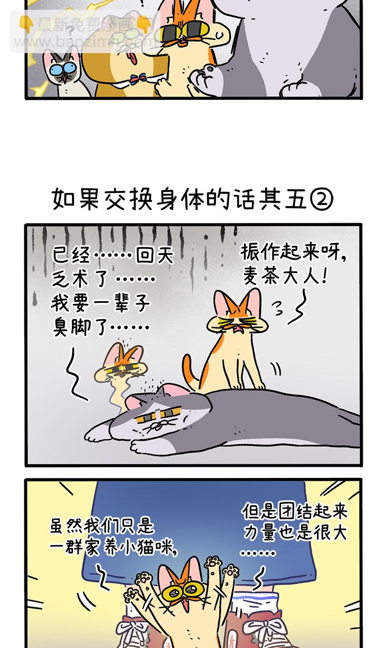 第154话1 如果交换身体的话5-第306话