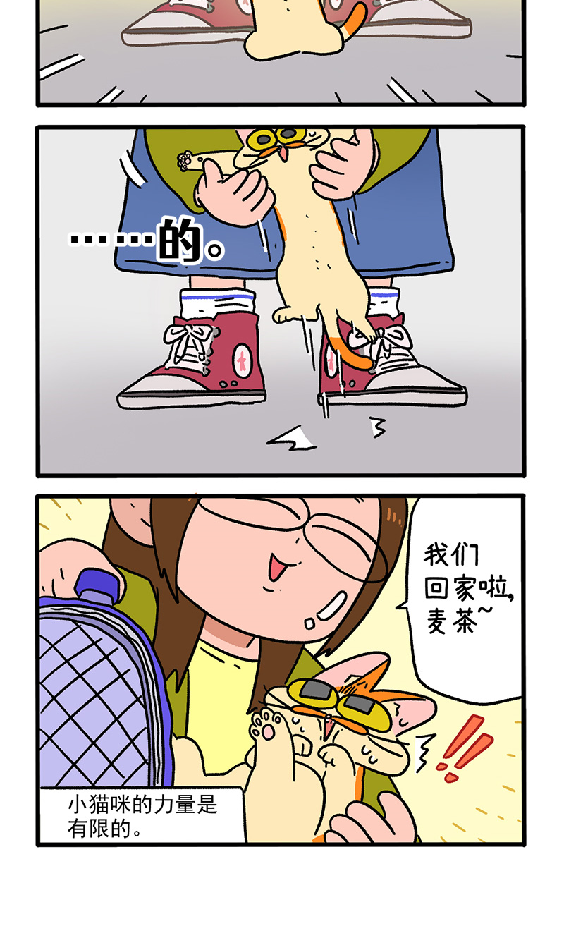 第154话1 如果交换身体的话5-第306话