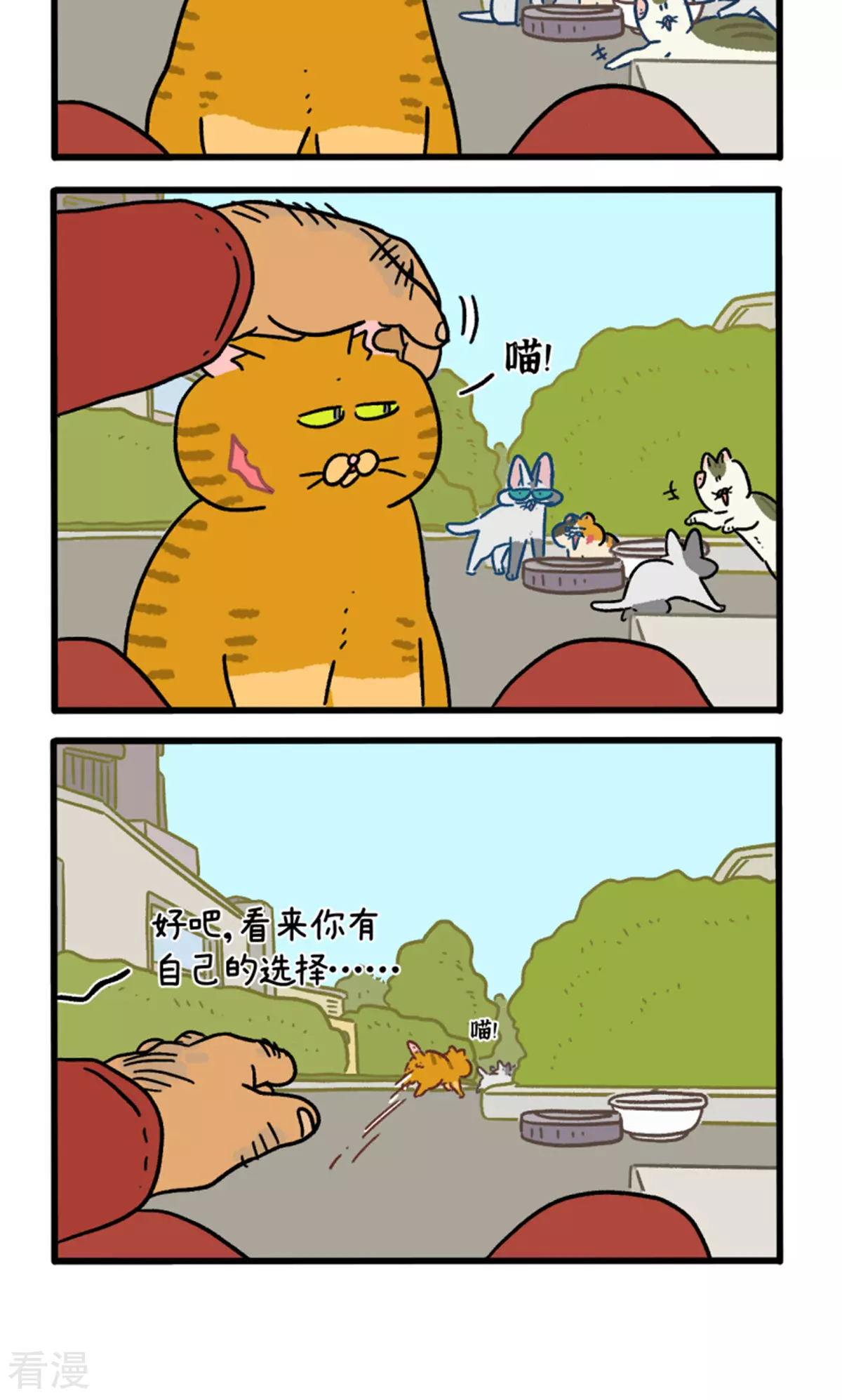 第158话3 猫晶晶的春日企划3-第316话