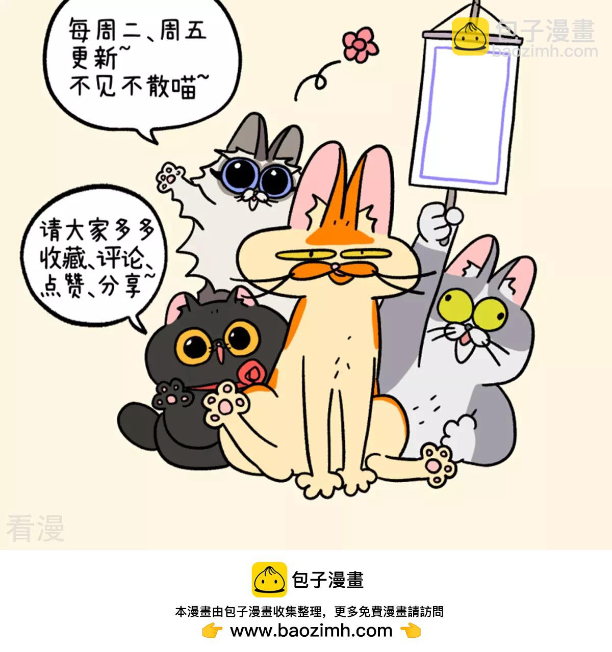 第158话3 猫晶晶的春日企划3-第316话