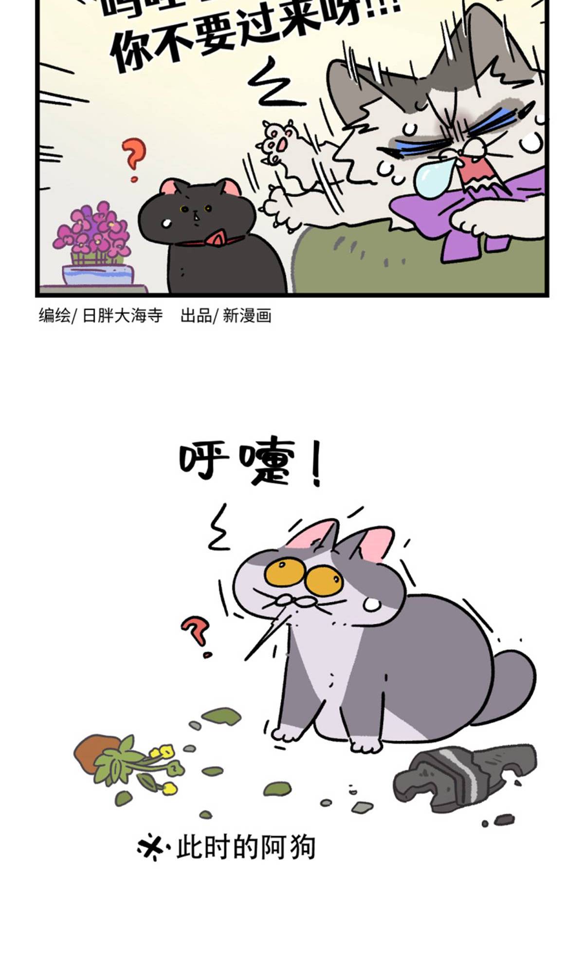 第162话-第322话
