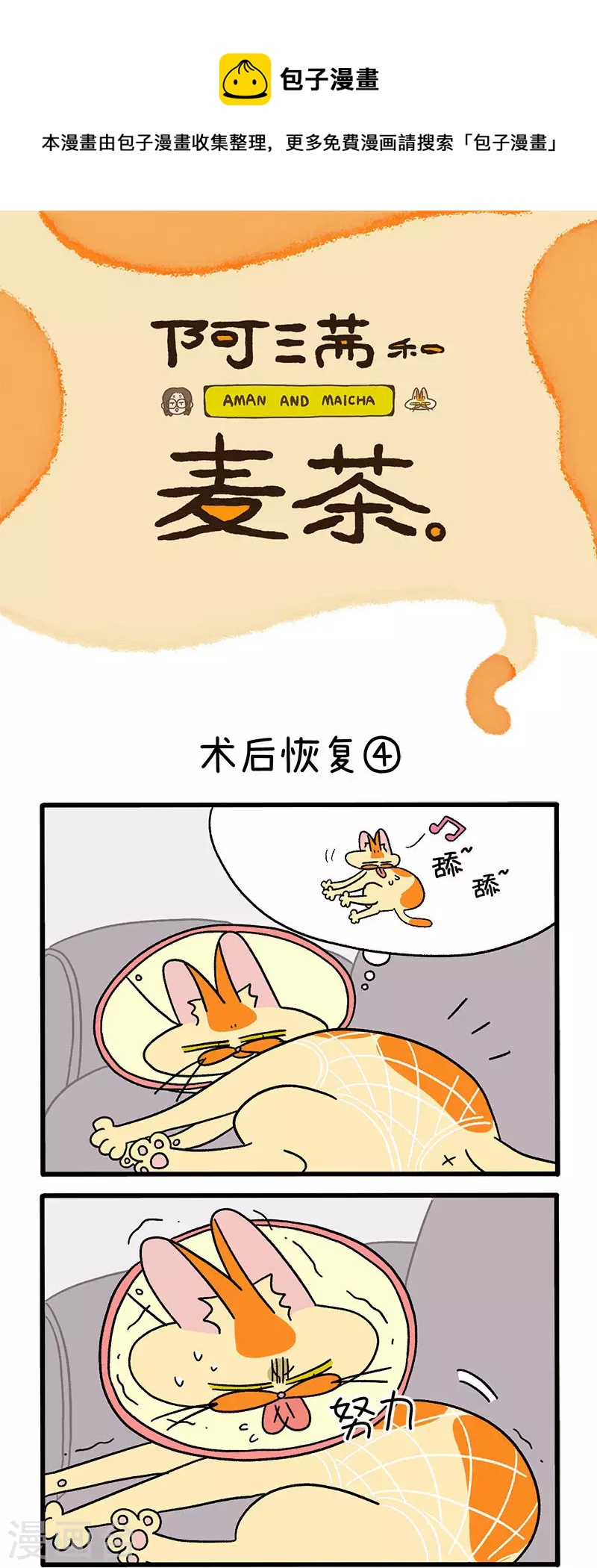 第23话2 术后恢复-第36话