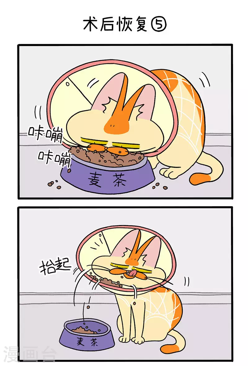 第23话2 术后恢复-第36话