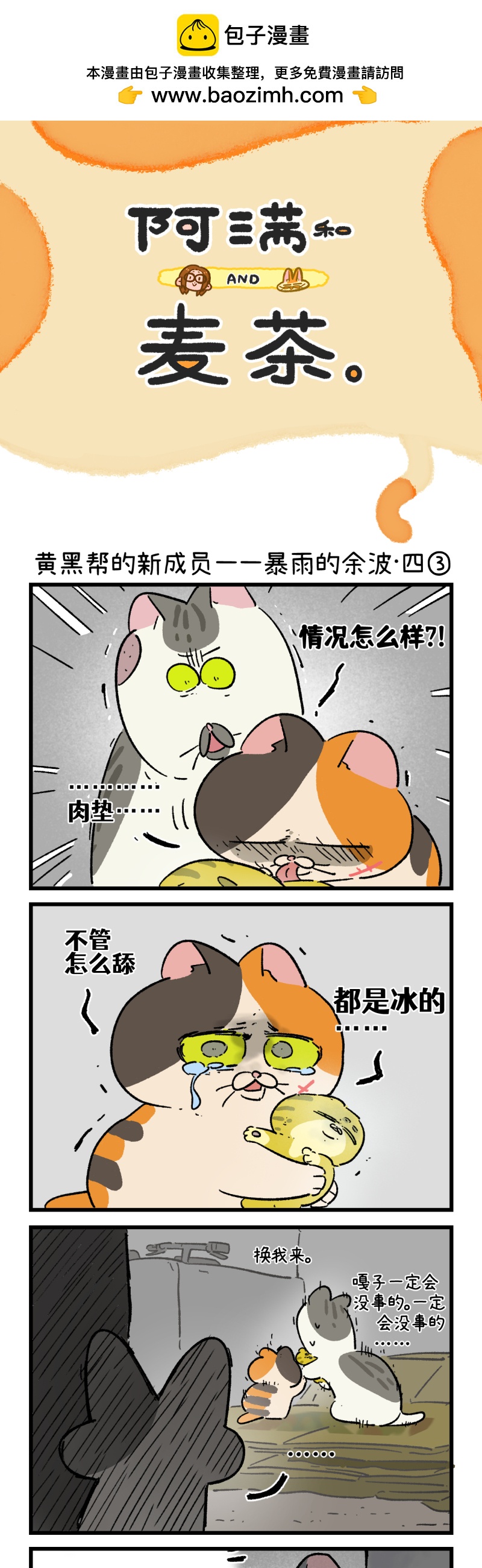 第195话-第356话