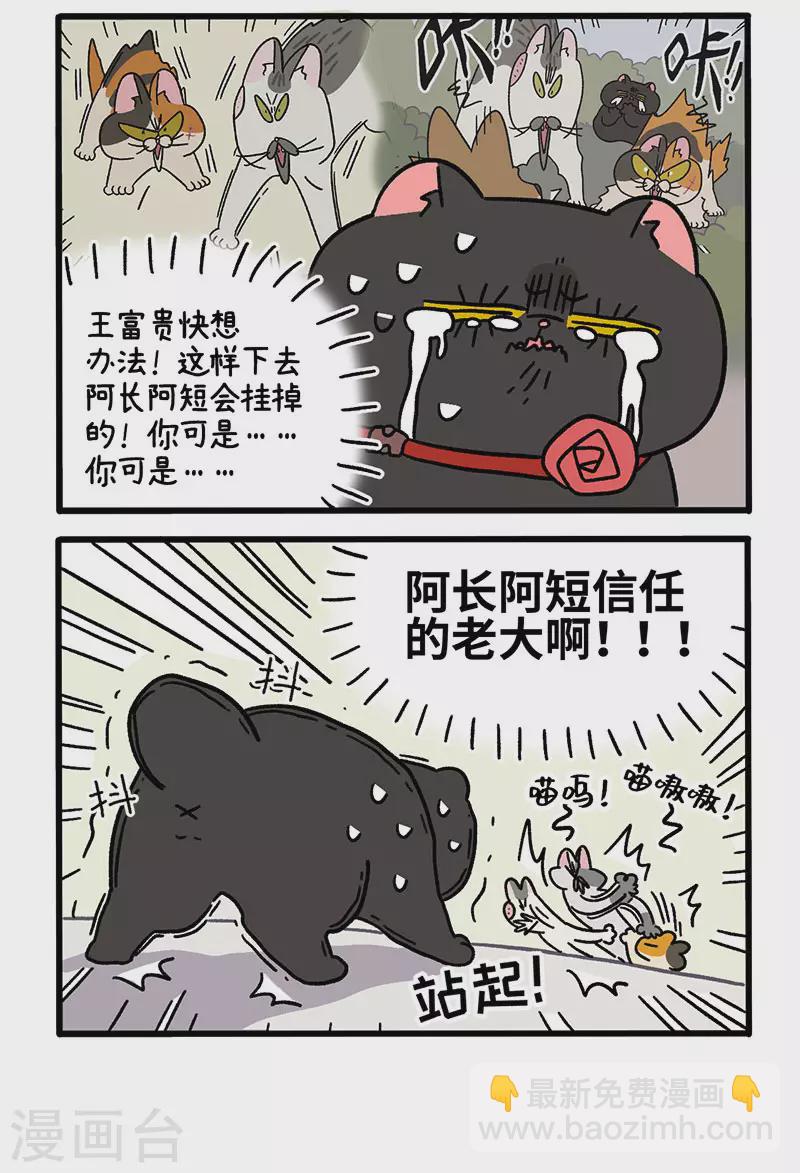 第40话2 老大的危机-第64话