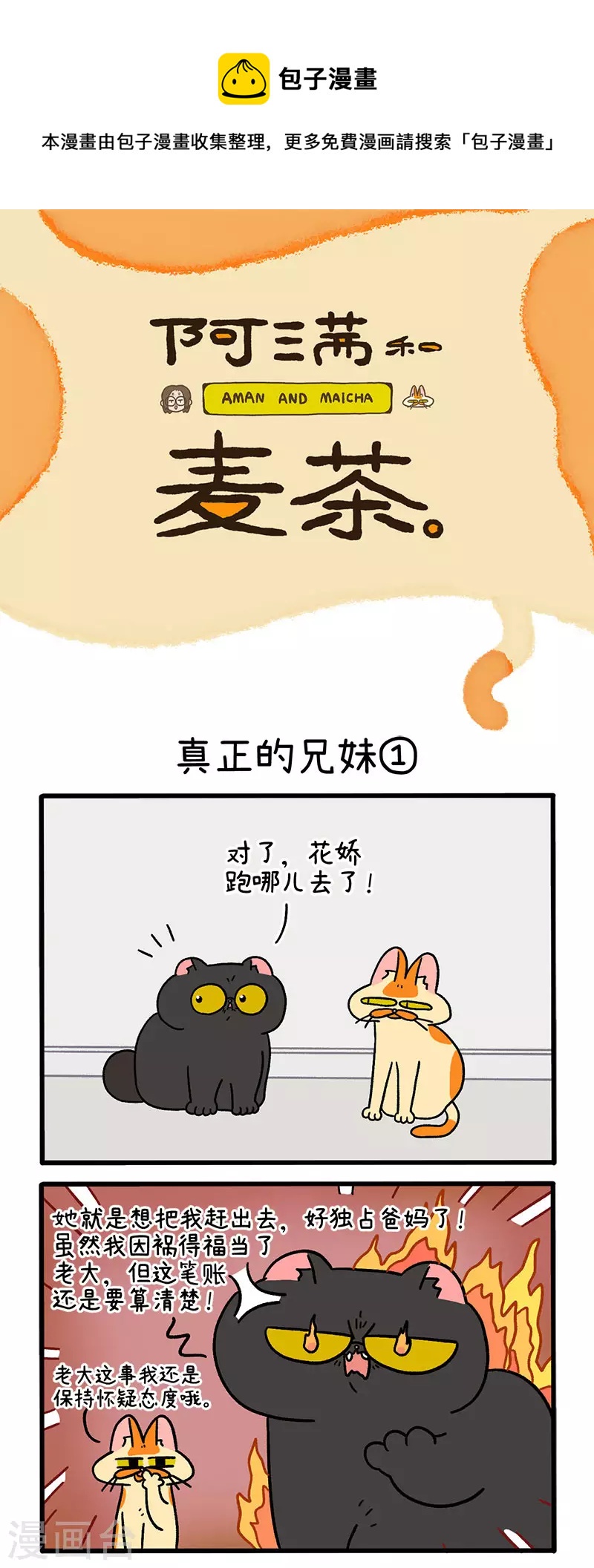 第49话1 真正的兄妹-第80话