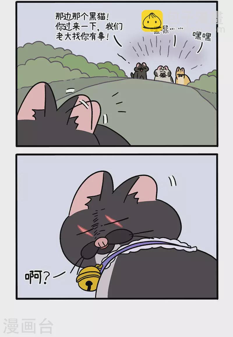 番外10 疤脸猫传说-第90话