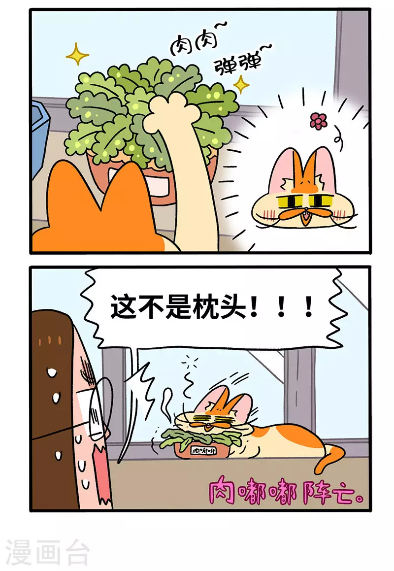 第57话 多肉植物-第98话