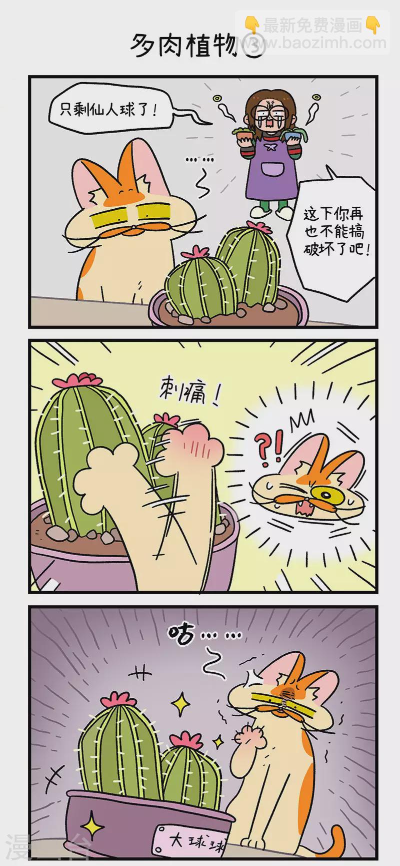 第57话 多肉植物-第98话