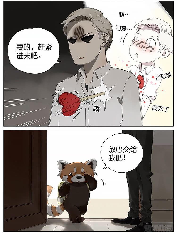 小熊猫-第116话