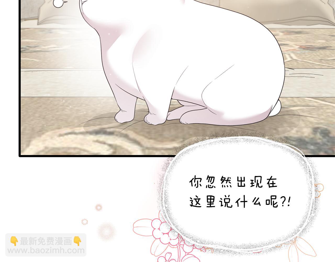 ☕安吉拉的谎言 第118话 见过神兽大人 第15页