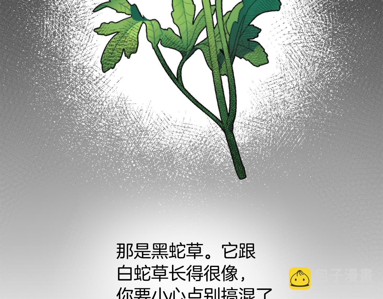 ☕安吉拉的谎言 第84话 可疑的药草 第6页