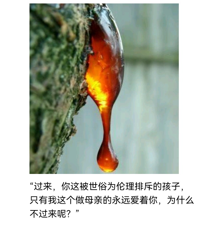 ☕【安科】过于漫长的幻想入 魔女（一） 第33页
