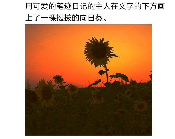 ☕【安科】过于漫长的幻想入 魔女（十三） 第32页