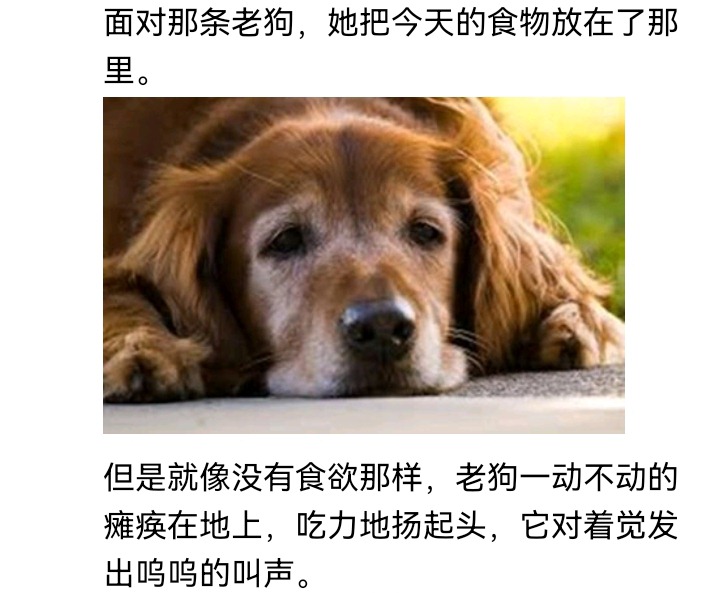 ☕【安科】过于漫长的幻想入 妖怪姐妹 第2页