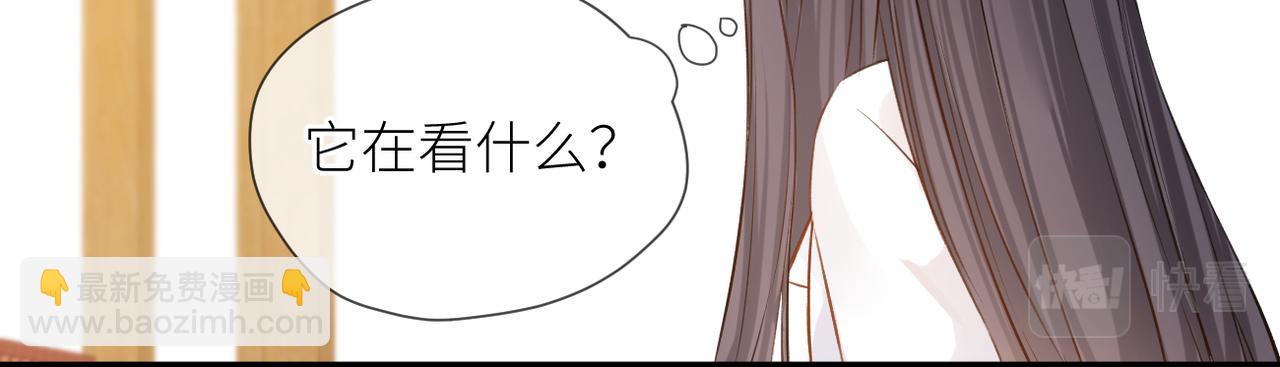 完结篇 橘生淮南(1/3)-第46话