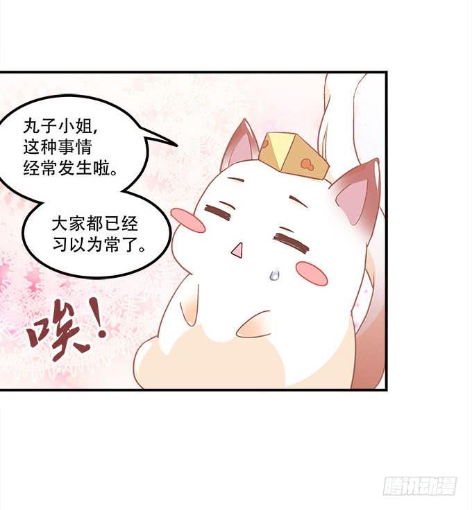 第二十一话：暴怒的谢白(1/2)-第22话