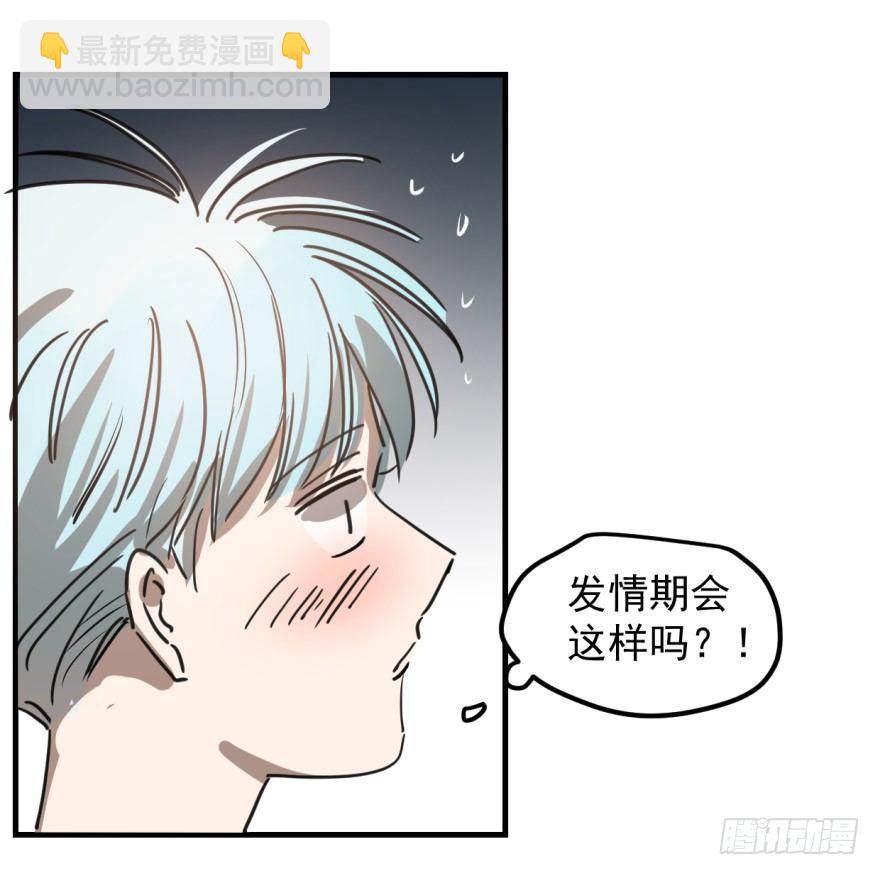 第十一话 目不转睛(1/2)-第14话