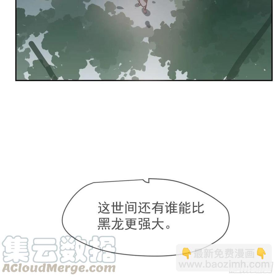 第145话 玄龙珠现身(1/2)-第164话