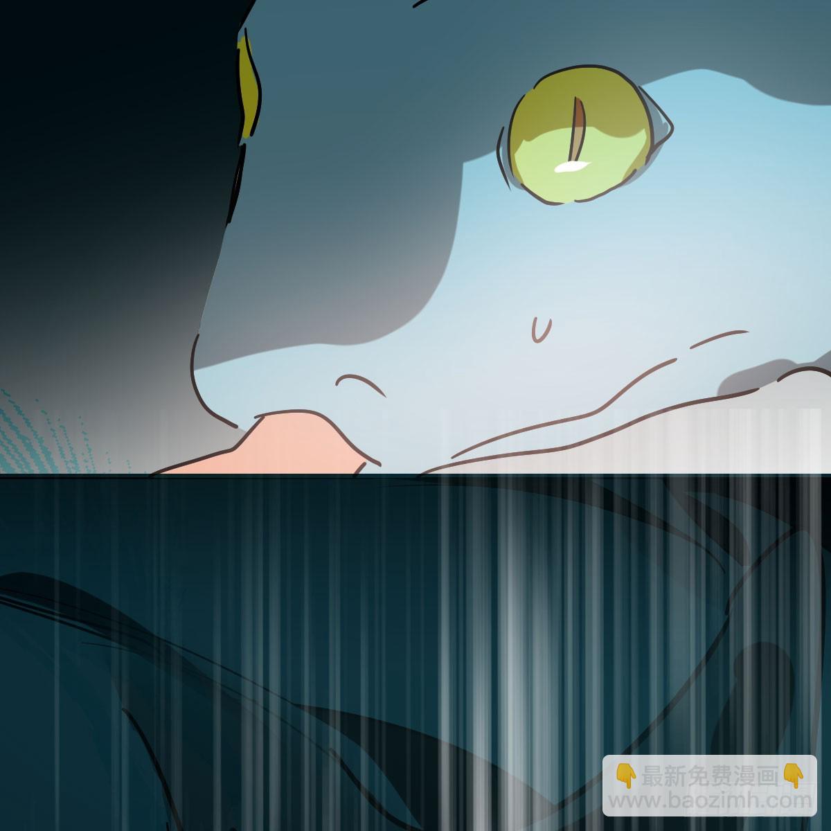第215话 鸭鸭冲刺(1/2)-第246话