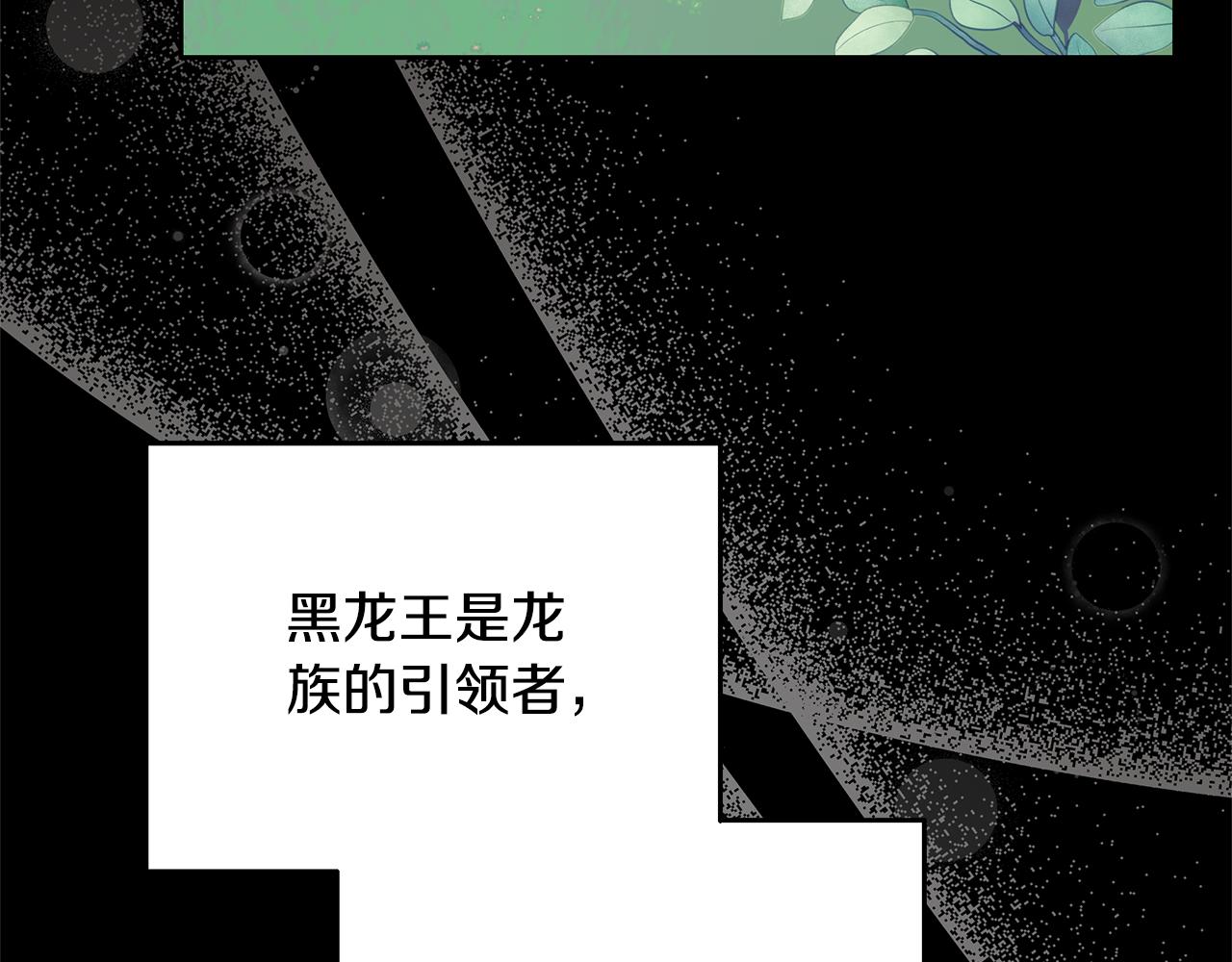 第40话 龙族公主(1/5)-第40话