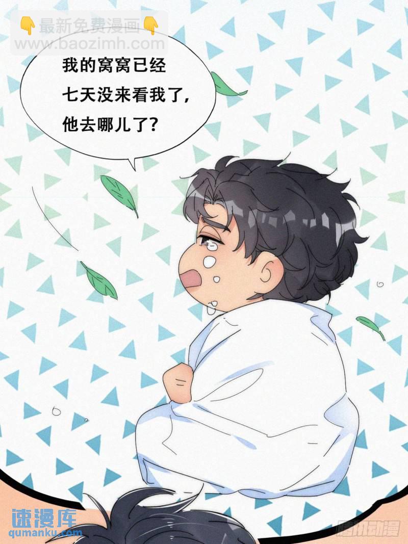 第二季 第17话 小黑发怒(1/2)-第250话