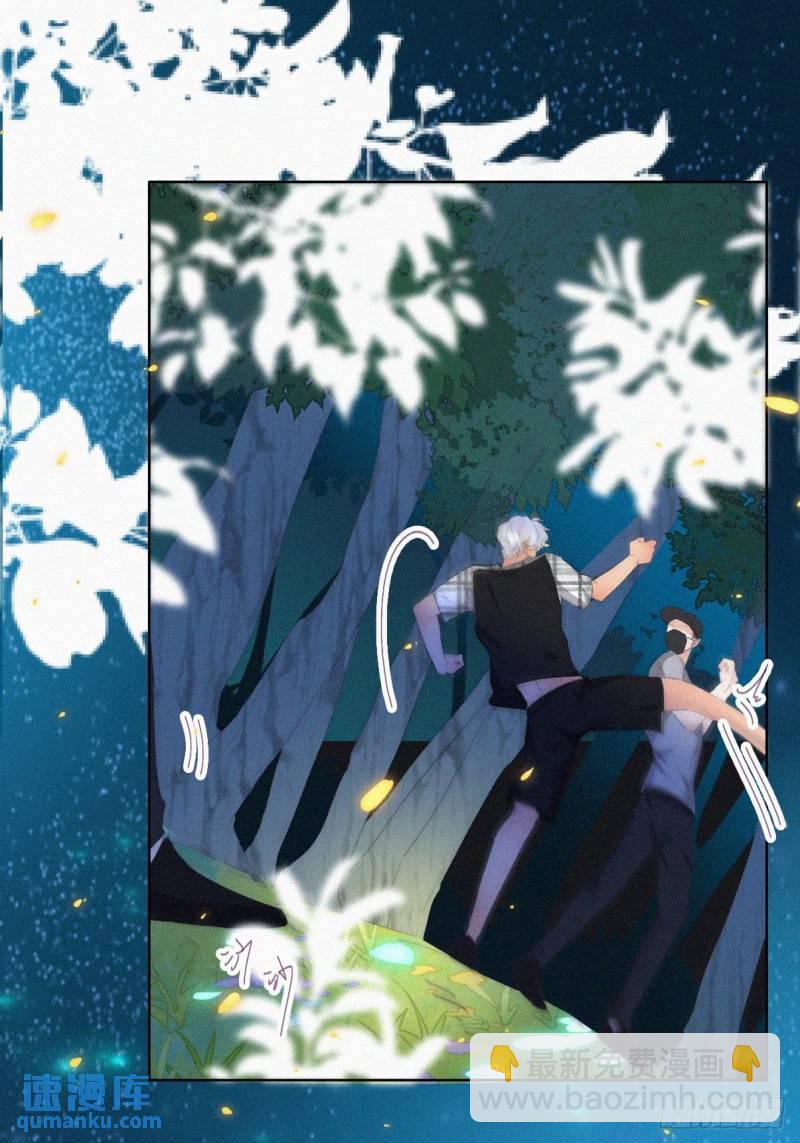 第二季 第43话 绑架小黑(1/2)-第276话