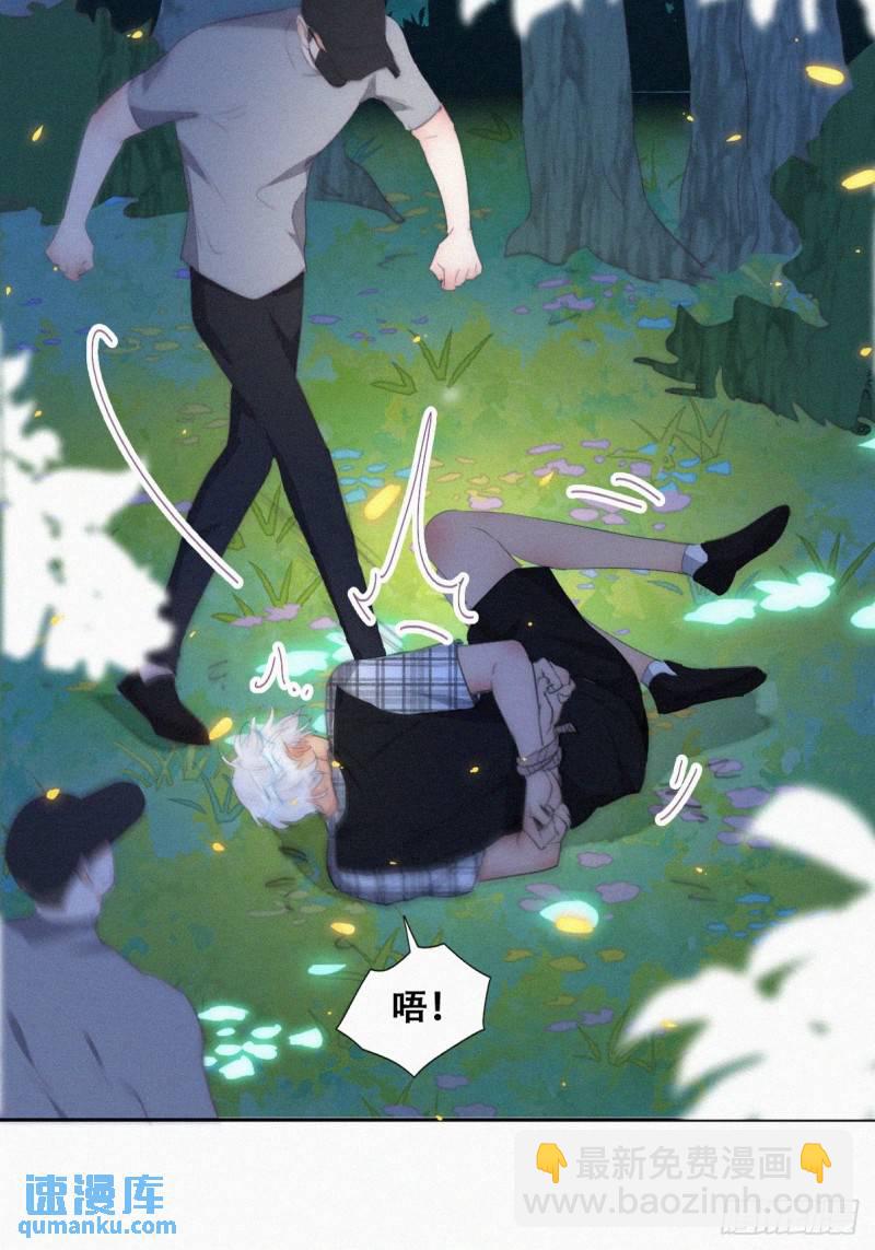 第二季 第43话 绑架小黑(1/2)-第276话