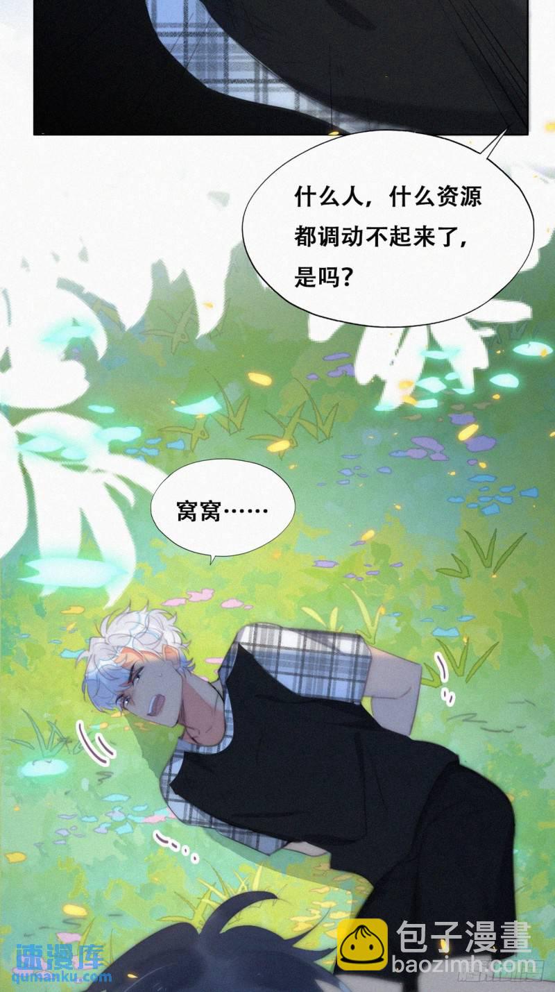第二季 第43话 绑架小黑(1/2)-第276话