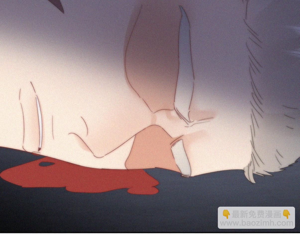 第二季第104话 谁准你伤他的！(1/3)-第360话